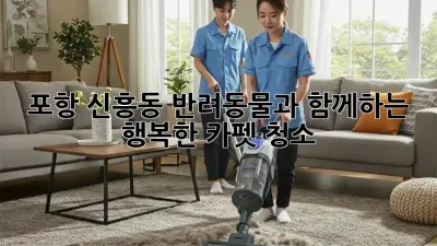 포항 신흥동 반려동물과 함께하는 행복한 카펫 청소