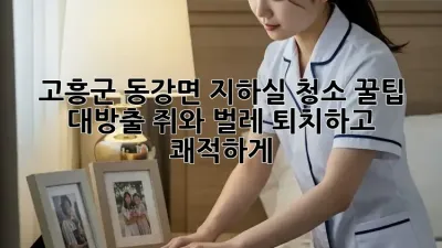고흥군 동강면 지하실 청소🧹 꿀팁 대방출! 쥐와 벌레 퇴치하고 쾌적하게✨